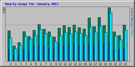 Hourly usage for January 2017